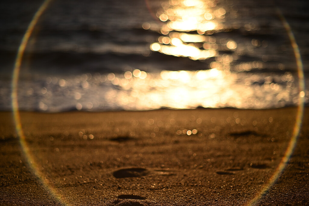 夕暮れの浜辺