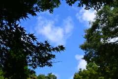 青空