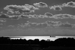 冬の空