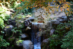 秋の気配