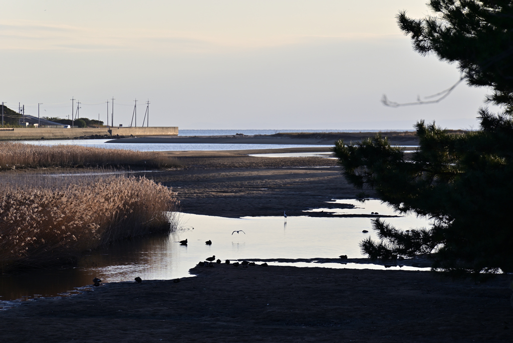 河口の風景