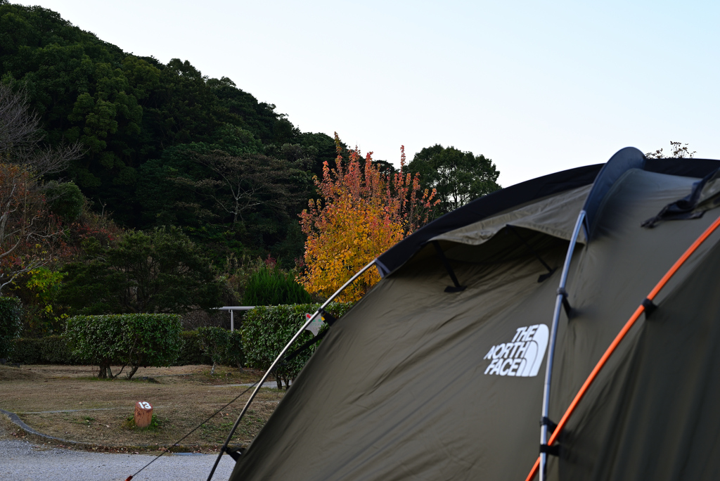 キャンプ場の朝