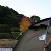 キャンプ場の朝