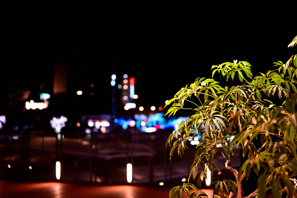 イルミネーション