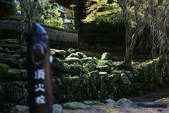 苔むす石垣