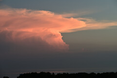 夏雲