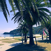 初夏の海