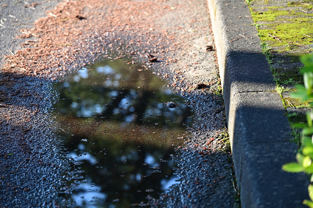 雨上がり
