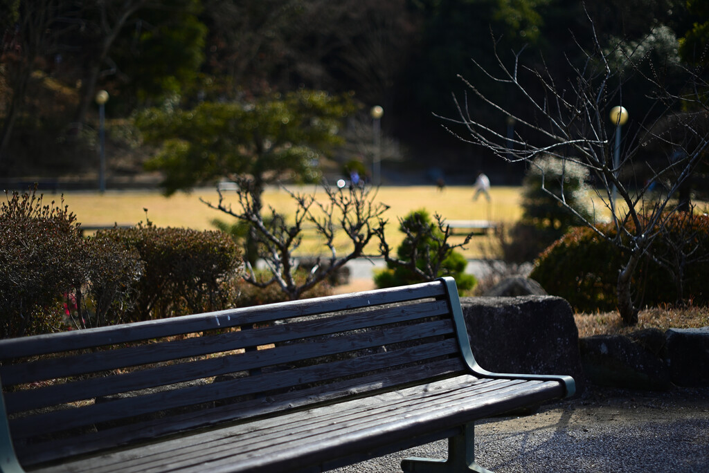 ベンチ