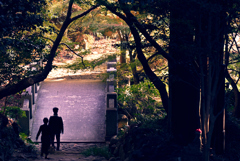 橋