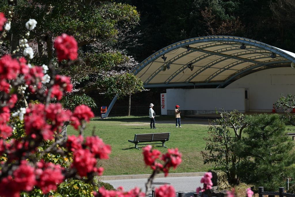 春の公園