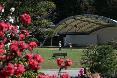 春の公園