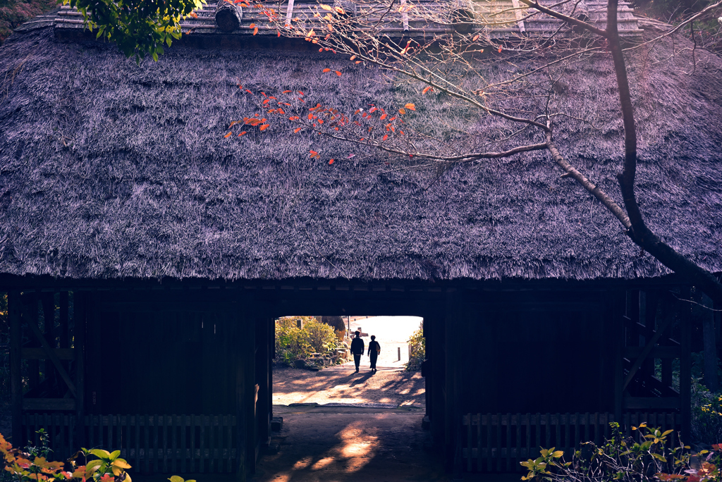 帰り道