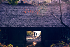帰り道