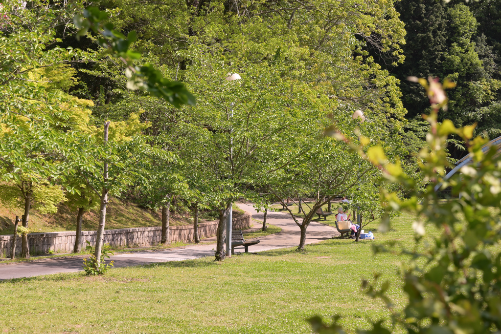 午後の公園