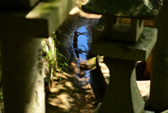 水たまり