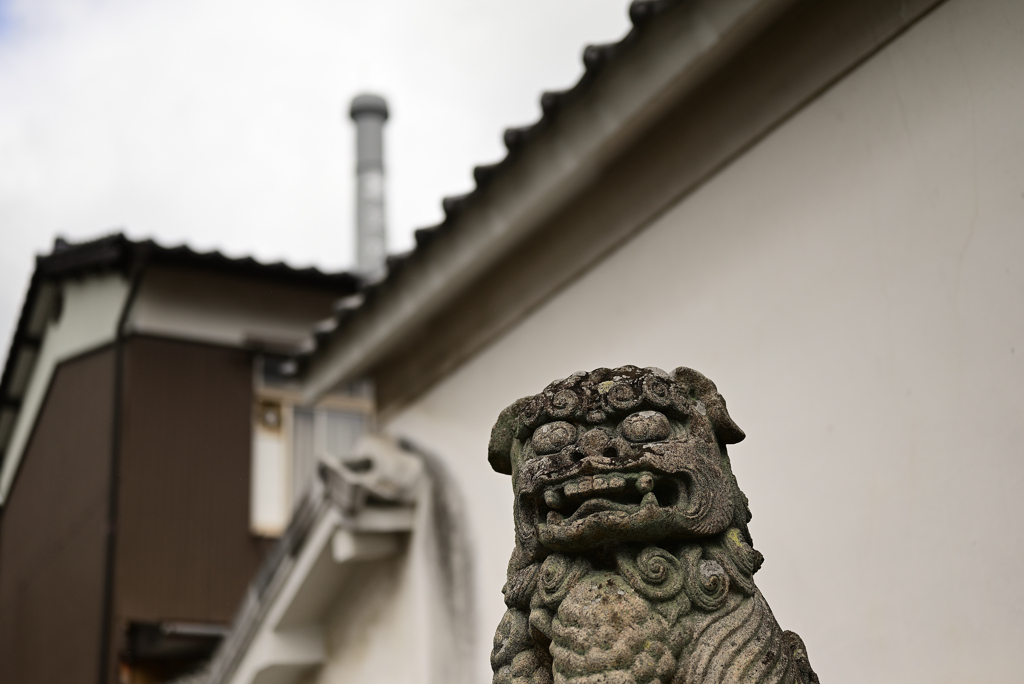 狛犬