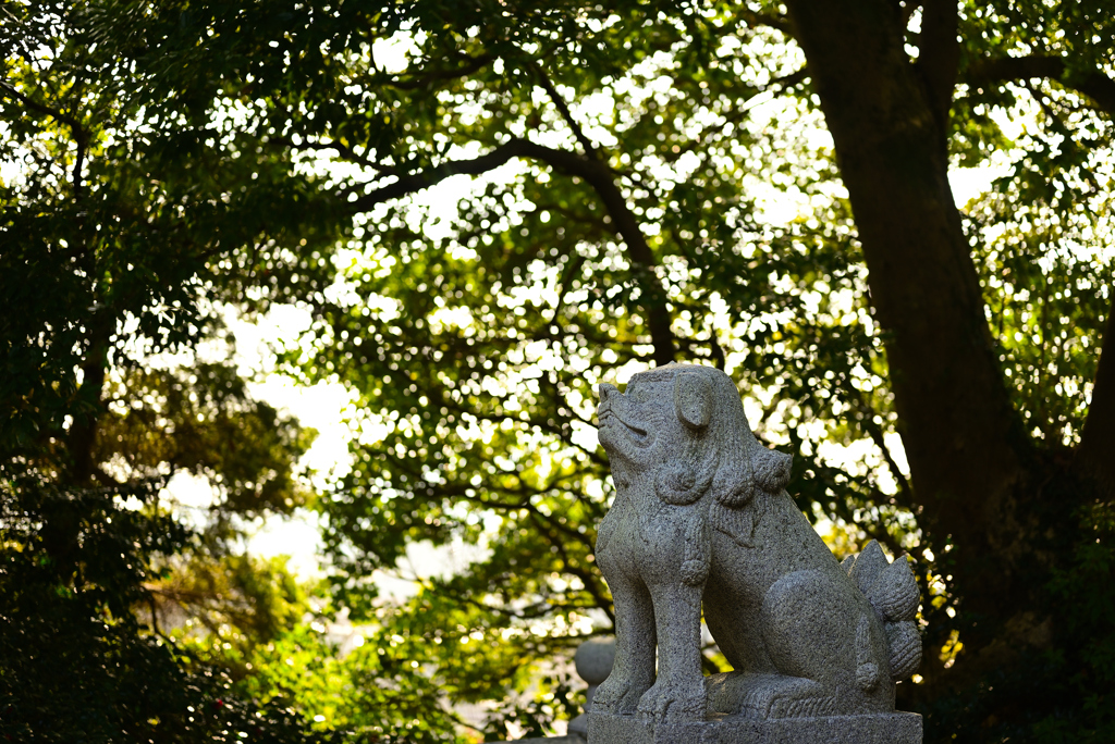 狛犬
