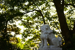 狛犬