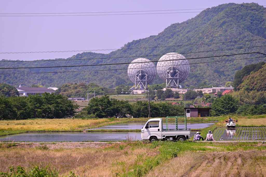 田植え