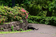 捕獲中