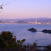 朝の海