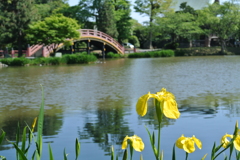 横浜・称名寺