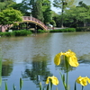 横浜・称名寺
