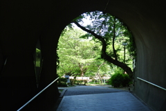 横浜・称名寺