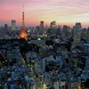 夕暮れの東京タワー