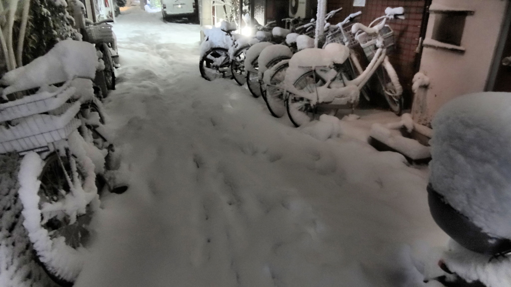 雪国東京