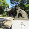 DSC00079