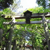 DSC00081
