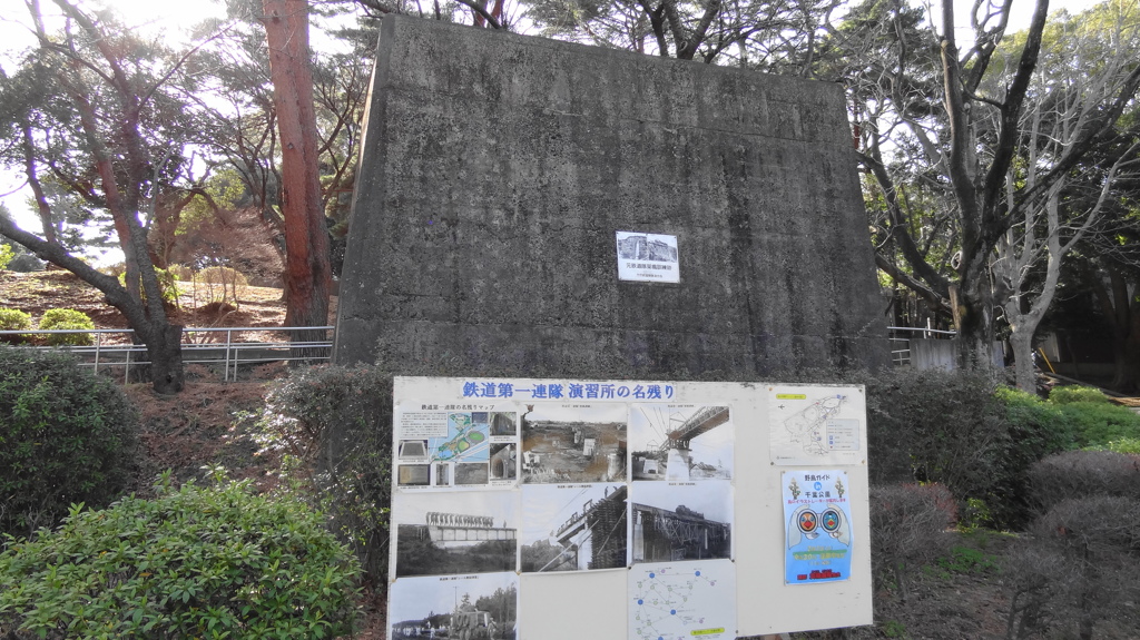 千葉公園③