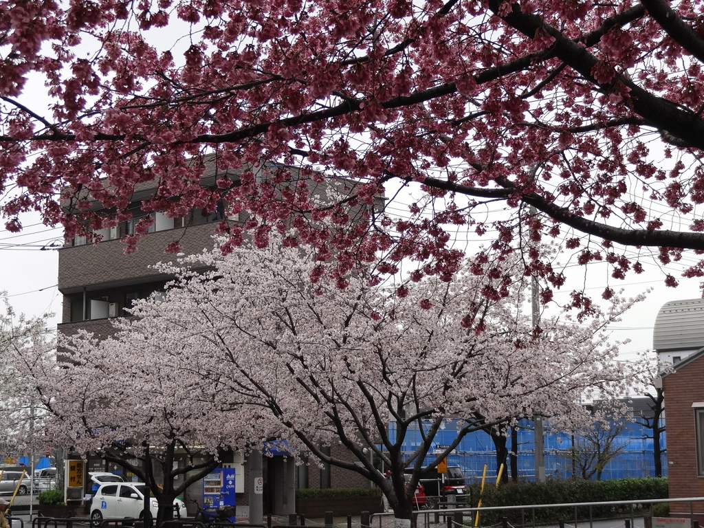 新座駅南口公園.②〔埼玉県〕