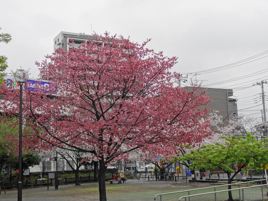 新座駅南口公園〔埼玉県〕
