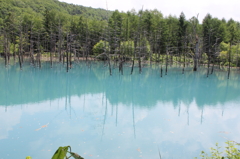 青い池