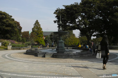 DP2M0027-1