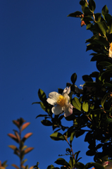 D700_1438