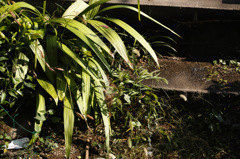 DP3M0280