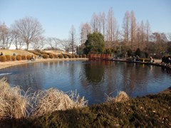 DSCF6010