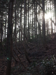 景信山１