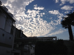 工場と雲