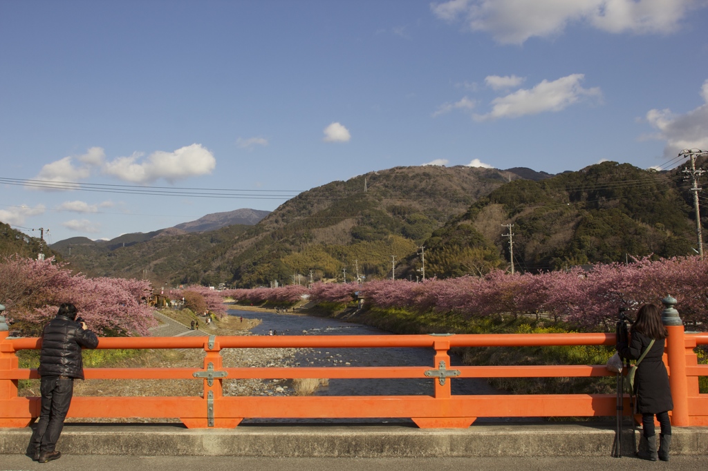 それぞれの景色を