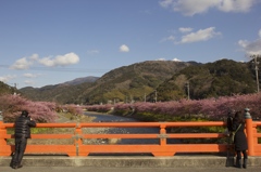 それぞれの景色を