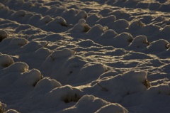 雪波
