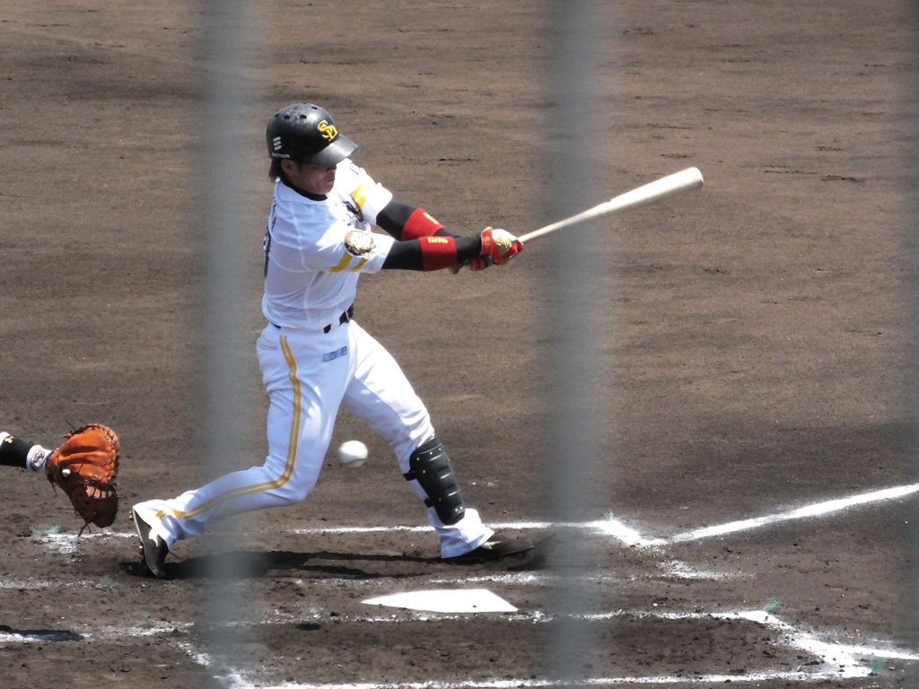 高谷(12)?