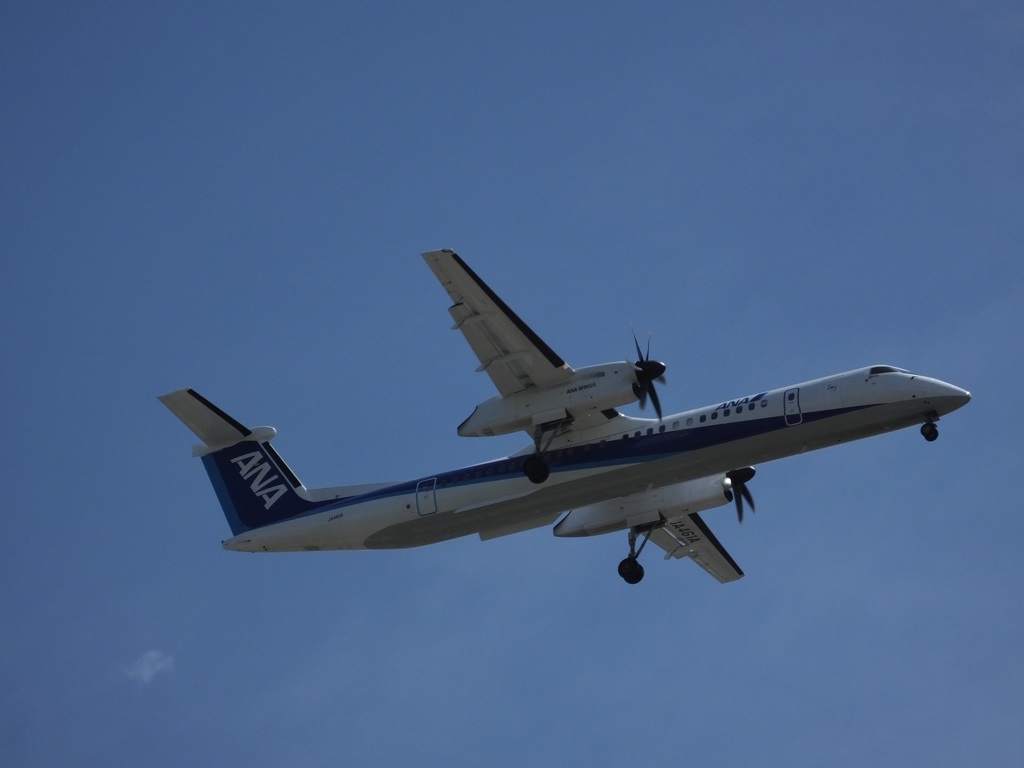 S0296321