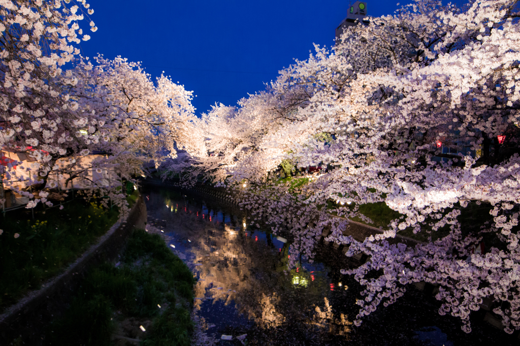 五条川