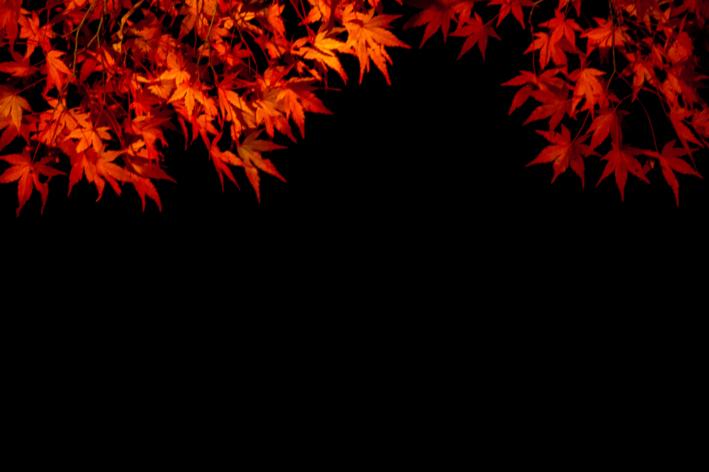 まっかな秋